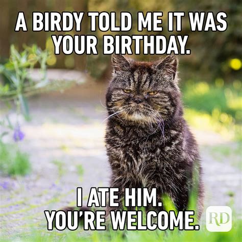 free happy birthday memes for him|happy birthday funny meme for him.